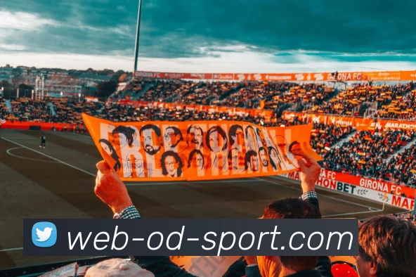 OD体育平台生态图